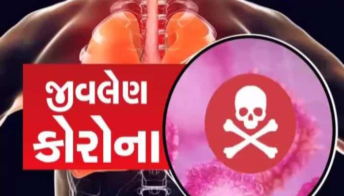 24 kalak news : જાણો સાંજ સુધીનાં તમામ મહત્વનાં સમાચાર માત્ર એક ક્લિક પર...