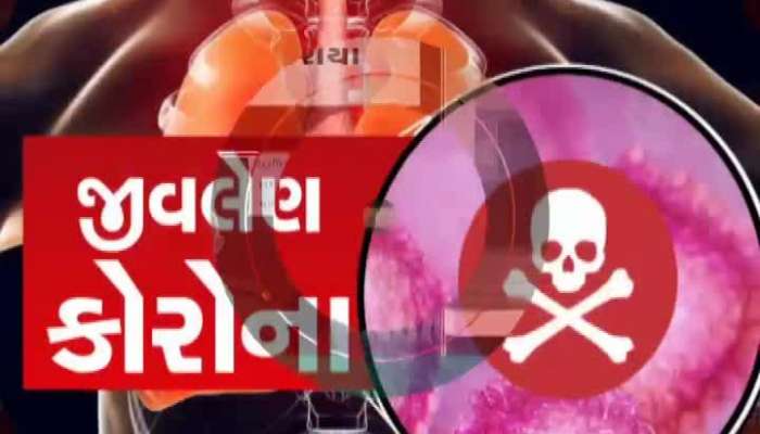 જામનગરમાં તમામ ફરવા લાગ્ય સ્થળોને બંધ કરવામાં આવ્યા...