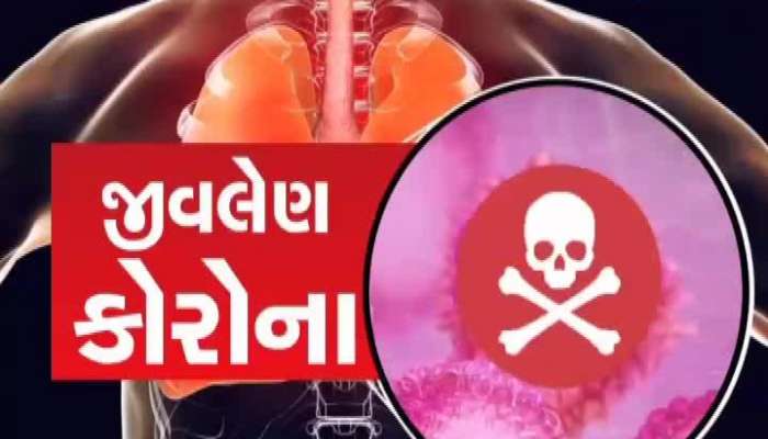 24 kalak news : મોડી રાત સુધીનાં તમામ મહત્વનાં સમાચાર...