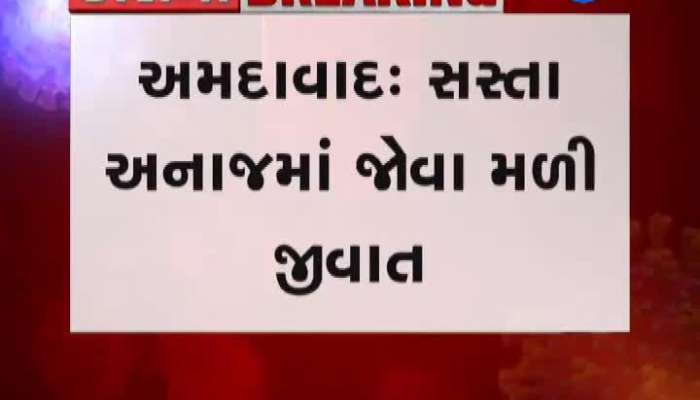 અમદાવાદ : સસ્તા અનાજમાં જોવા મળી જીવાત