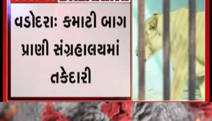 vadodara zoo start precautions to save zoo animals from corona virus 