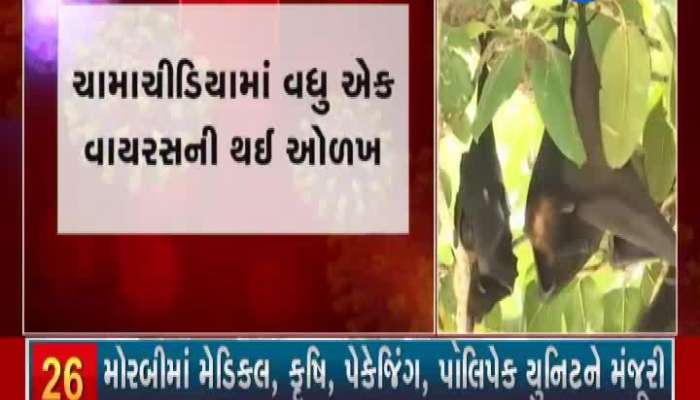 Samples of bats were also taken from Gujarat