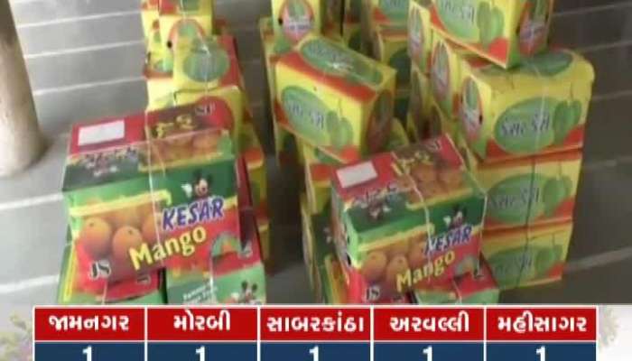 Arrival of Mango at Rajkot Market Yard