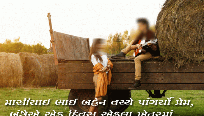 બનાસકાંઠા: માસીયાઇ ભાઇ-બહેન વચ્ચે પ્રેમ પાંગર્યો અને પછી બંન્નેએ ખેતરમાં...