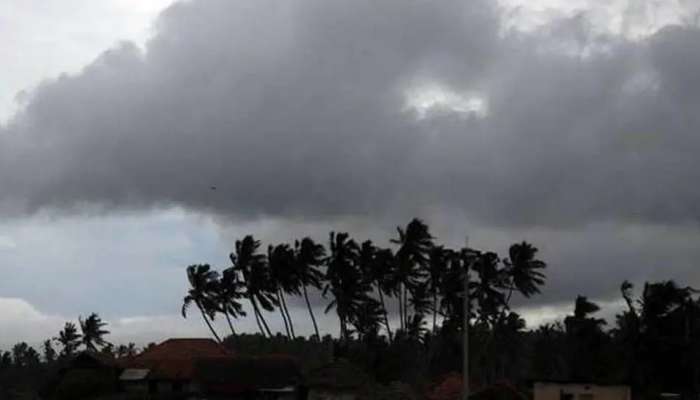 Monsoon Forecast : 1 જૂનથી કેરલમાં સક્રિય થઈ શકે છે દક્ષિણ-પશ્ચિમ મોનસૂન