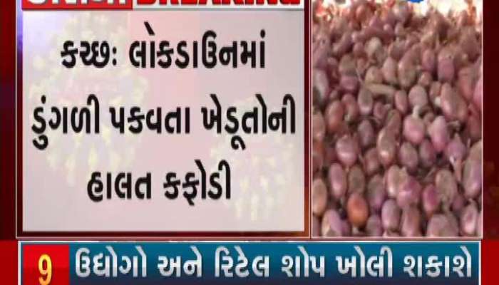 Debilitating Condition Of Kutch Farmers Onions In Lockdown