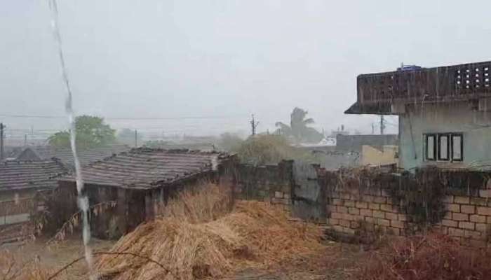 સાવરકુંડલામાં વરસાદ: સ્થાનિક નદીઓમાં પુરની સ્થિતિ, વીજળી પડતા 16 બકરીના મોત