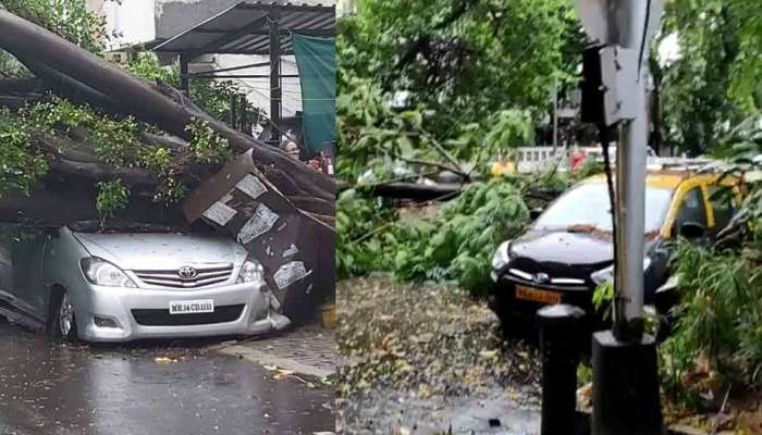 મહારાષ્ટ્રમાં Cyclone Nisargaનો કહેર, વૃક્ષો ધરાશાયી, ઘરોને પણ પહોંચ્યું નુકસાન