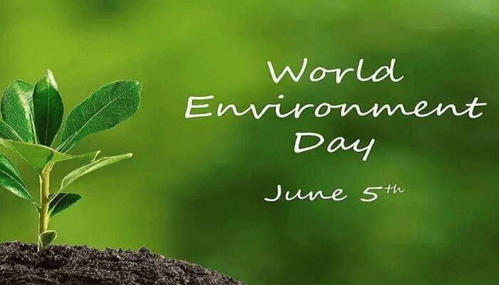 World Environment Day 2020: પર્યાવરણ શુદ્ધ કરવાનું અડધુ કામ તો કોરોનાએ કરી આપ્યું