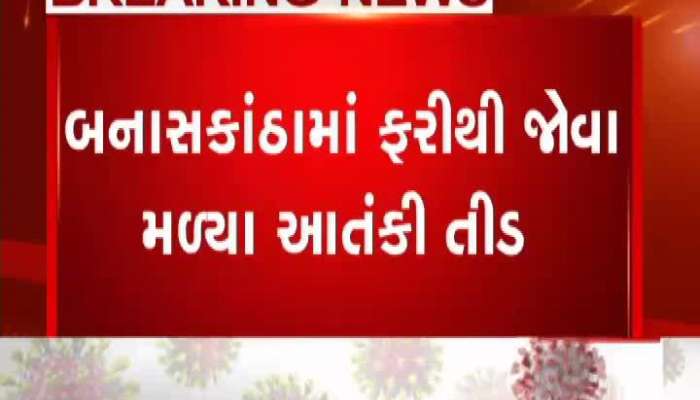 Locusts Found Again In Banaskantha