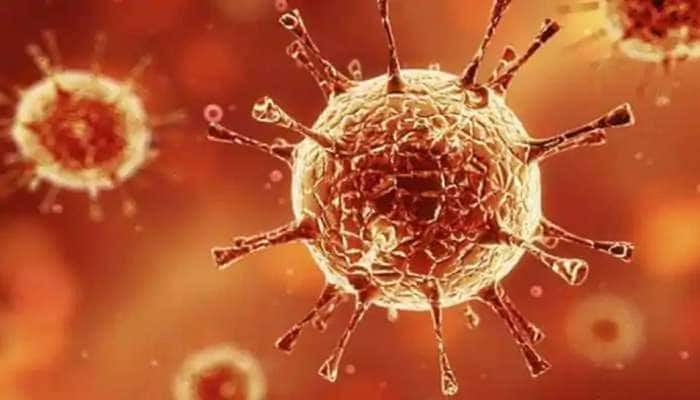Corona virus: વડોદરામાં નવા 36 કેસ નોંધાયા, કુલ સંક્રમિતોની સંખ્યા 1400ને પાર