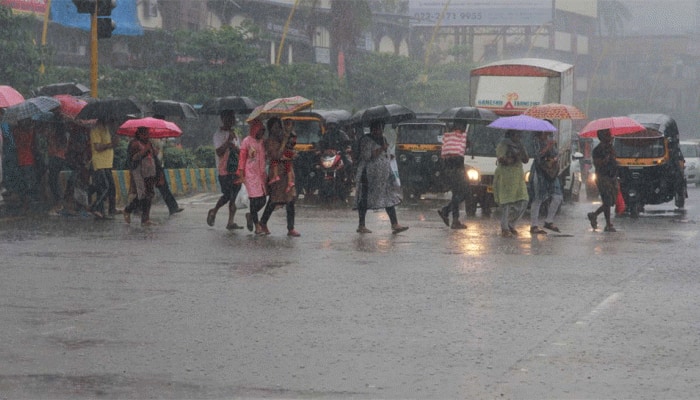ગુજરાતમાં 24 કલાકમાં 186 તાલુકામાં વરસાદ, મહેસાણાના વિજાપુરમાં 6 ઈંચ નોંધાયો
