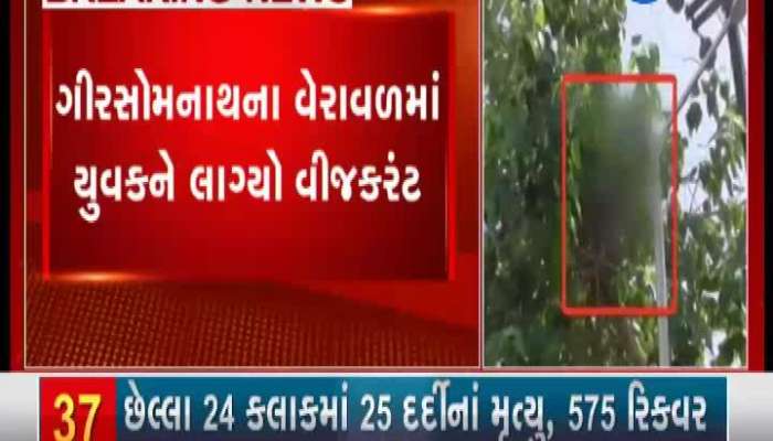 youth's deadbody hang on tree after electric shocked in gir somnath