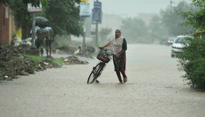 ક્યાંક અનરાધાર, તો ક્યાંક કોરુંકટ... 15 જુલાઈ સુધી ગુજરાતમાં ક્યાં કેટલો વરસાદ નોંધા