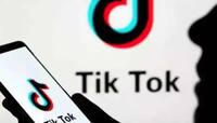 ભારતનો ઉલ્લેખ કરીને અમેરિકામાં પણ TikTok પર પ્રતિબંધ મૂકવાની માંગણી પર ભાર મૂકાયો