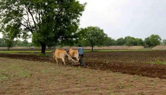 ઉત્તર અને મધ્ય ગુજરાતના ખેડૂતોને વધુ બે કલાક વીજળી મળશેઃ સરકારની જાહેરાત