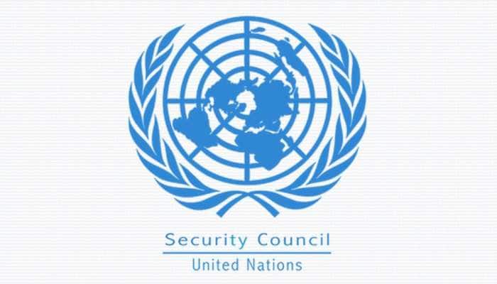 UNSC માં ભારતે પાકિસ્તાનને ઘેર્યું, કહ્યું- દાઉદ જેવા આતંકવાદીને પાળે છે