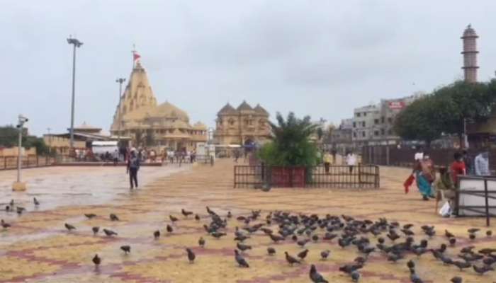 શ્રાવણ મહિનાના ત્રીજા સોમવારે સોમનાથ મંદિરમાં ચકલા ઉડ્યા, ભક્તોની પાંખી હાજરી જોવા મળી 