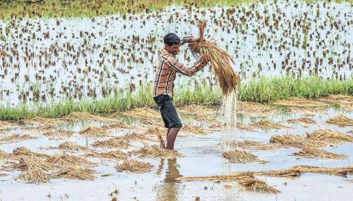 મોરબીમાં ભારે વરસાદથી ખેતરોમાં ભરાયા પાણી, જાણો કેવી છે ત્યાંની પરિસ્થિતિ