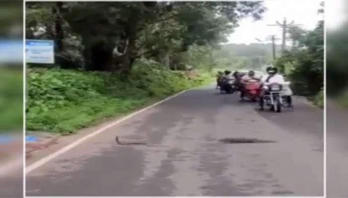 ગુજરાતના 2 મજેદાર viral video : રસ્તા પર લડી પડ્યા વર્ષો જૂના જાની દુશ્મન.... 