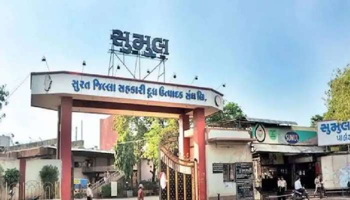 સુમુલ ડેરીની ચૂંટણીનું પરિણામ, માનસિંહ પટેલ અને રાજુ પાઠક સંભાળશે ડેરીની કમાન 