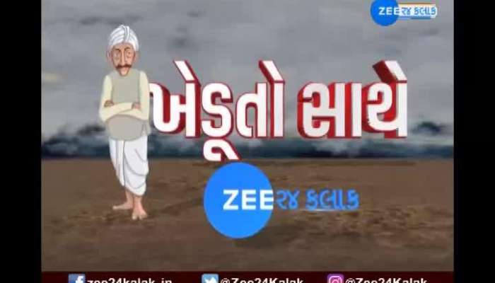Crops Fail In Aravalli, 50 Percent Decline In production