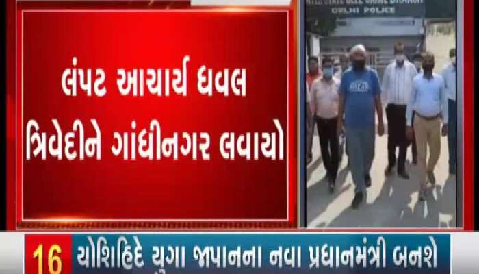 Ahmedabad: Government Bans Onion Exports