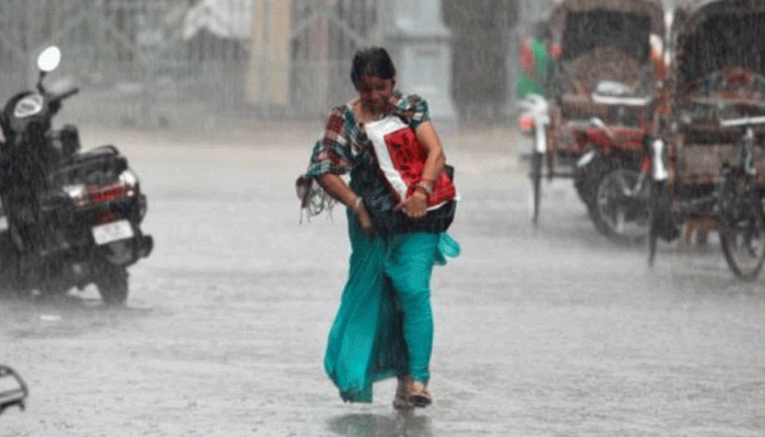 મેઘ કહેર: સૌરાષ્ટ્ર અને દક્ષિણ ગુજરાતમાં સતત વરસાદના કારણે ખેડૂતો આર્થિક રીતે ધોવાયા