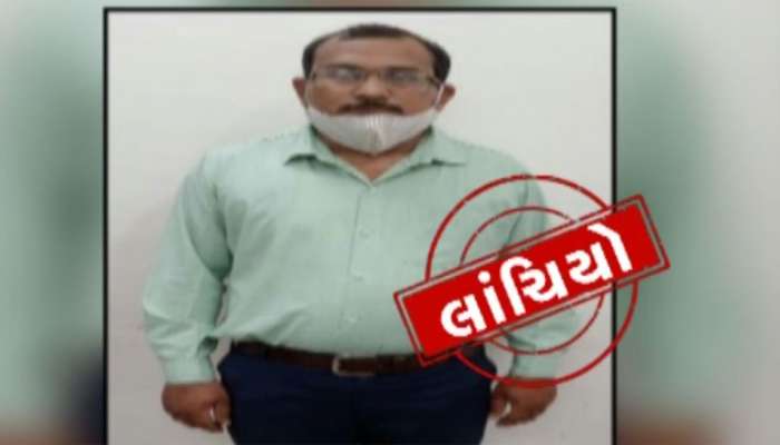જૂનાગઢમાં ACBનું સફળ ઓપરેશન, નાયબ મામલતદાર લાંચ લેતાં ઝડપાયા જૂનાગઢમાં ACBનું સફળ ઓપરેશન, નાયબ મામલતદાર લાંચ લેતાં ઝડપાયા