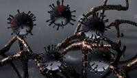 Cat Que Virus: આઈસીએમઆરની ચેતવણી- ભારતમાં અંધાધૂંધી મચાવી શકે છે બીજો ચીની વાયરસ