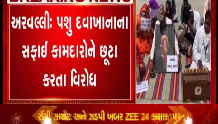 Protest Against To Be Fired Of Animal Hospital Cleaners In Aravalli