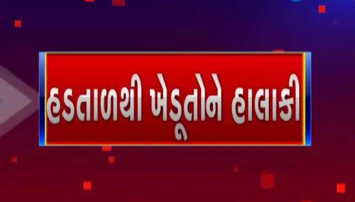 Village Computer Operators On Strike In Patan
