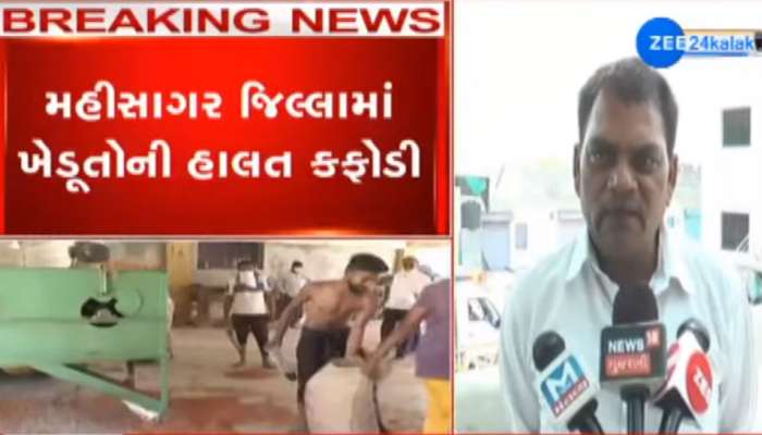 મહીસાગર APMC માં મહાકૌભાંડ, સસ્તા ચણા ખરીદી ખેડૂતના નામે ઉંચા ભાવે વેચવાનું કૌભાંડ