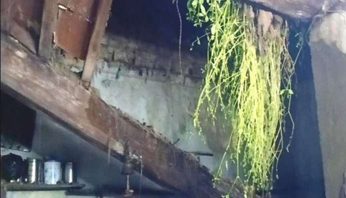 જૂનાગઢના વિસાવદરમાં જર્જરિત મકાનની છત પડતા પરિવાર દટાયો, માતા પુત્રનું મોત