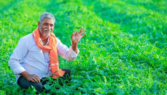 સાબરકાંઠાના ખેડૂતોને શિયાળુ સિઝન પહેલા મળી મોટી ભેટ, બે સિઝનનું તમામ નુકસાન થશે ભરપાઈ