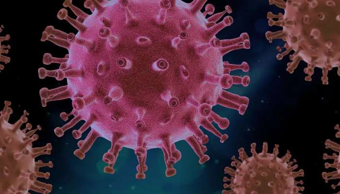 માત્ર 30 સેકેન્ડમાં મોઢાની અંદર Coronavirusને ખતમ કરી શકે છે માઉથવોશઃ અભ્યાસ