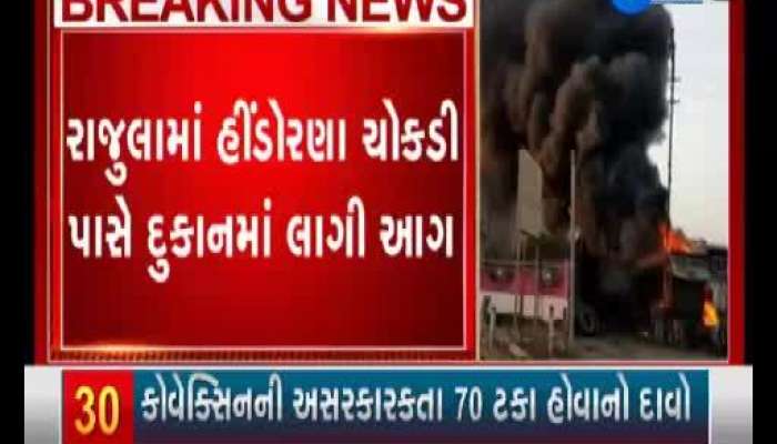 Important News Of Rajula, Junagadh And Vadodara