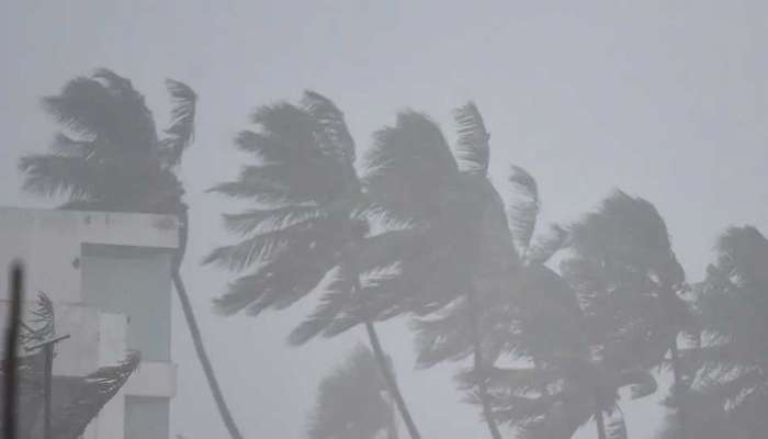 પુડુચેરી પાર કરી ગયા બાદ નબળું પડી રહ્યું છે Cyclone Nivar, અનેક વિસ્તારોમાં તબાહી