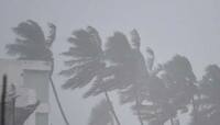 પુડુચેરી પાર કરી ગયા બાદ નબળું પડી રહ્યું છે Cyclone Nivar, અનેક વિસ્તારોમાં તબાહી