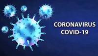 CORONA UPDATE: નવા 1540 કેસ 1427 દર્દી સાજા થયા 13 લોકોનાં મોત નિપજ્યાં