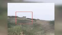 રાજકોટમાં સિંહના આંટાફેરા, video વાયરલ થતા ગભરાયા લોકો 