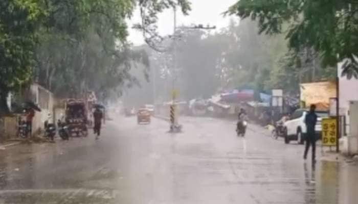 ગુજરાતના આકાશમાં ધુમ્મસની ચાદર છવાઈ, 24 કલાકમાં 142 તાલુકામાં કમોસમી વરસાદ પડ્યો 