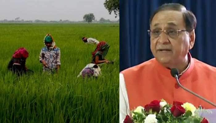 આફતના માવઠા સામે ગુજરાત સરકારે કરી ખેડૂતોને વળતરની જાહેરાત 