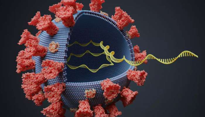 કોરોનાનું વધારે ઘાતક સ્વરૂપ Mutant Corona, UK થી આવતી તમામ ફ્લાઇટ્સ પર પ્રતિબંધ