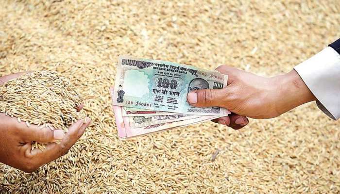 Cabinet: ખેડૂતોની આવક વધારવા માટે મોદી સરકારે લીધો મોટો નિર્ણય, જાણો વિગતો 