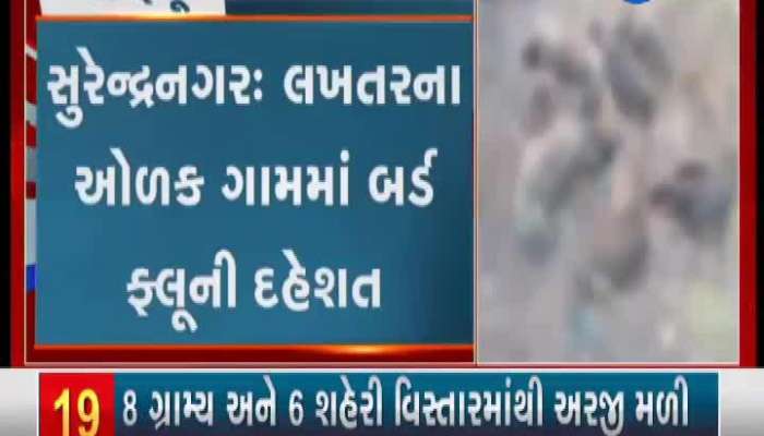 Surendranagar: Fear of bird flu in Lakhtar's Olak village