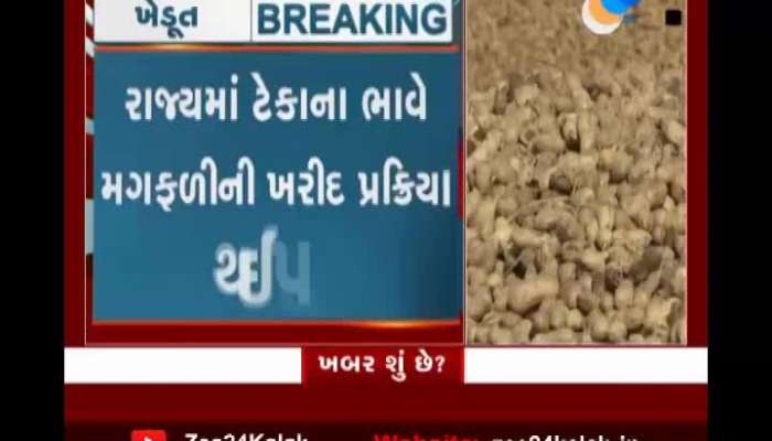 Peanut procurement process completed at support price in the state