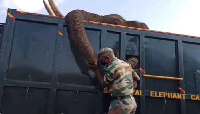 Video: હાથીના મોત પર ધ્રુસ્કે ધ્રુસ્કે રડ્યો આ શખ્સ, તમે પણ થઈ જશો ઇમોશનલ Video: હાથીના મોત પર ધ્રુસ્કે ધ્રુસ્કે રડ્યો આ શખ્સ, તમે પણ થઈ જશો ઇમોશનલ