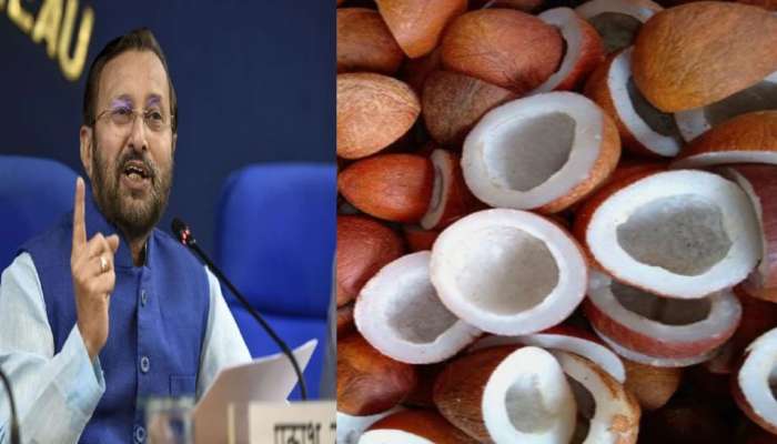 Cabinet: ખેડૂતો માટે સરકારનો વધુ એક મોટું પગલું, આ પાક માટે વધારી MSP