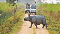 આ છે ભારતનો સુંદર National Park, એક વખત જરૂર મુલાકાત લેવી જોઈએ